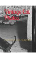 Vintage Cat Photos