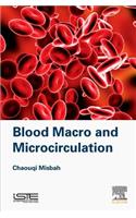 Blood Macro- And Microcirculation