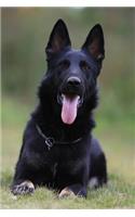 German Shepherd Notebook