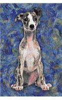 Whippet