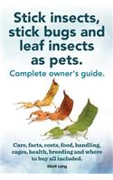 Stick Insects, Stick Bugs and Leaf Insects as Pets
