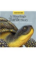 Blanding's Turtle Story