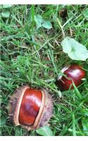 Horse Chestnuts in the Grass Autumn Journal: 150 Page Lined Notebook/Diary
