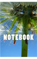 Notebook: Dandelion