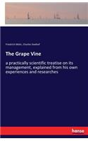 Grape Vine: a practically scientific treatise on its management, explained from his own experiences and researches