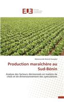 Production Maraîchère Au Sud-Bénin