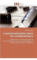 L'Autocicatrisation Dans Les Condensateurs