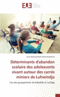 Déterminants d'abandon scolaire des adolescents vivant autour des carrés miniers de Luhwindja