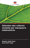 Sélection des cultures assistée par marqueurs moléculaires