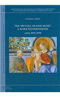 Tre "Piccoli, Grandi Musei" E Altre Testimonianze: Scritti 2002-2008(Interventi E Testimonianze)