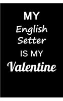 My English Setter Is My Valentine