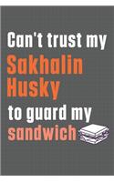 Can't trust my Sakhalin Husky to guard my sandwich