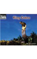 King Cobra