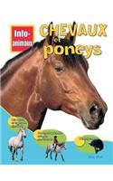 Info-Animaux: Chevaux Et Poneys