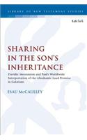 Sharing in the Son's Inheritance: Davidic Messianism and Paul's Worldwide Interpretation of the Abrahamic Land Promise in Galatians