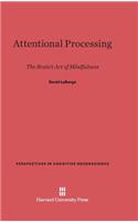 Attentional Processing