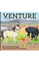 Venture, Horse of Dreams