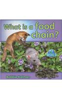 What is a food chain?: (My World)