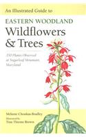 Illustrated Guide to Eastern Woodland Wildflowers and Trees