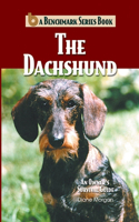 Dachshund