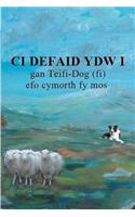 CI Defaid Ydw I