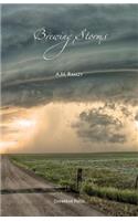 Brewing Storms