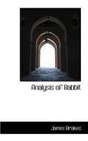 Analysis of Babbit