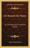 Life Beneath The Waters