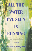 All the Water I've Seen Is Running - A Novel