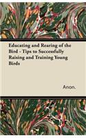 Educating and Rearing of the Bird - Tips to Successfully Raising and Training Young Birds