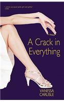 A Crack in Everything