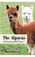 Alpacas of Stormwind Farm