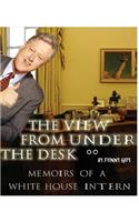 View From Under the Desk