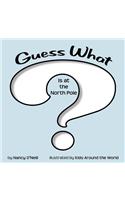 Guess What Is at the North Pole?
