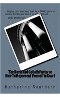 David and Goliath Factor or How To Represent Yourself in Court