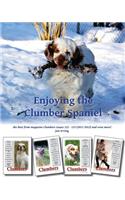 Enjoying the Clumber Spaniel