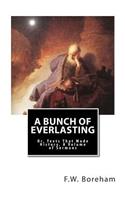 Bunch of Everlasting