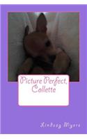 Picture Perfect, Collette