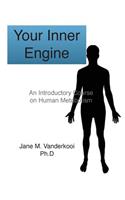 Your Inner Engine: An introductory course on human metabolism