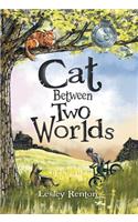 Cat Between Two Worlds