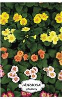 Notebook Journal Dot-grid, Graph, Lined, Blank No Lined - Colorful Flowers: Small Pocket Notebook Journal Diary