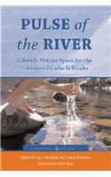 Pulse of the River