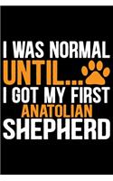 I Was Normal Until I Got My First Anatolian Shepherd