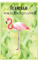 Flamingo for Flamingo Lover
