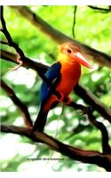 Kingfisher Bird Notebook