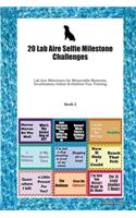 20 Lab Aire Selfie Milestone Challenges: Lab Aire Milestones for Memorable Moments, Socialization, Indoor & Outdoor Fun, Training Book 3