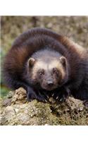 Look at the Wolverine Dot Grid Bullet Journal: 150 Page Notebook 8 X 10 Inches
