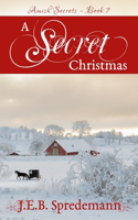 Secret Christmas (Amish Secrets 7)