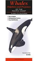Whales, Dolphins and Porpoises of the Pacific Coast