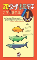 20 Must-learn Pictographic Simplified Chinese Workbook -1